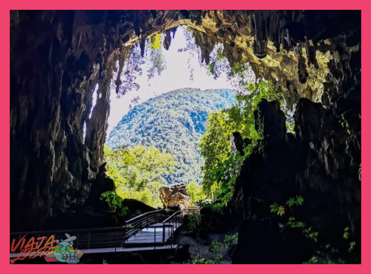 1. La Cueva de las Lechuzas: Un Portal Subterráneo a la Biodiversidad