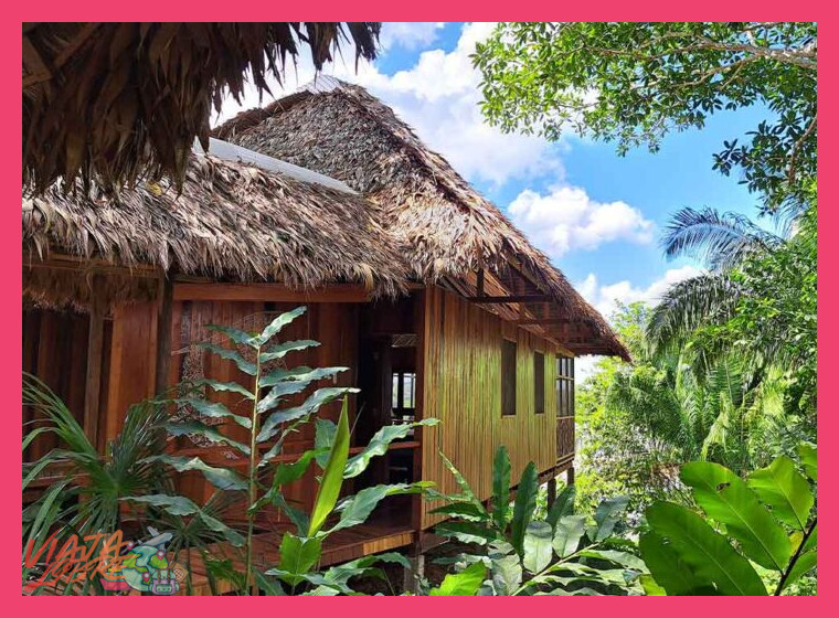 1. ¿Qué Define a un Lodge Verdaderamente Responsable en la Amazonía?