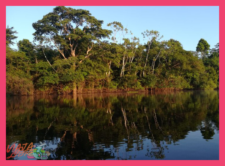 1. Reserva Nacional Pacaya Samiria: El Espejo de la Selva