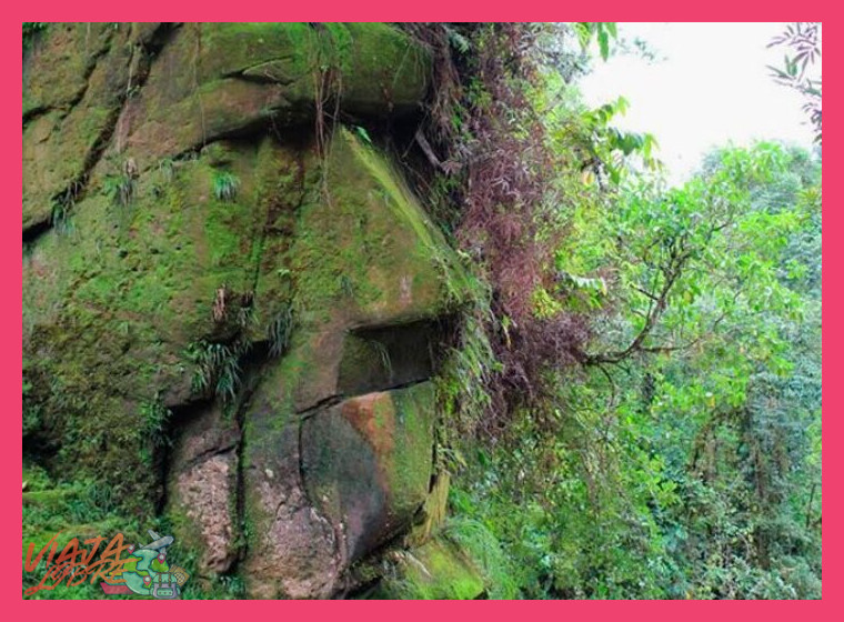 1. Territorio y Cosmovisión: La Base de la Conservación Harakmbut
