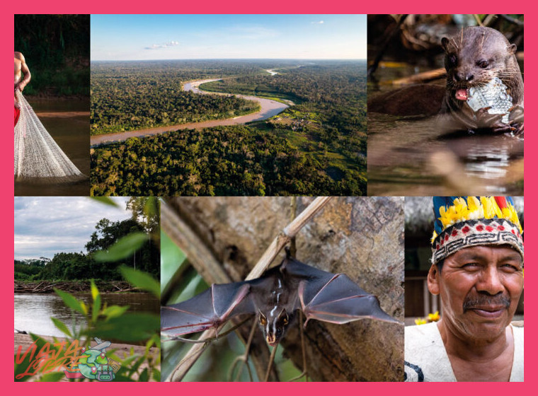 1. Un Mosaico de Ecosistemas Únicos