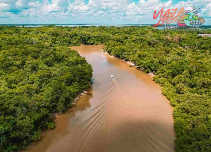 ¿10 lugares turísticos imperdibles de la selva peruana - Guru Explorers?