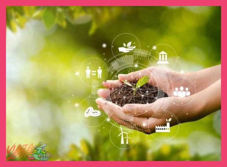 2. Análisis de las prácticas de gestión ambiental operativa