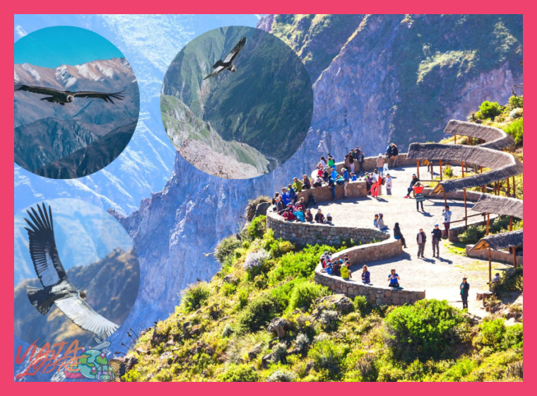 2. El Mirador de la Cruz del Cóndor: Encuentro con los Señores del Viento