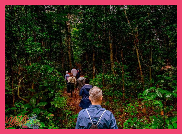 2. Experiencias de Aventura Inmersiva en la Selva