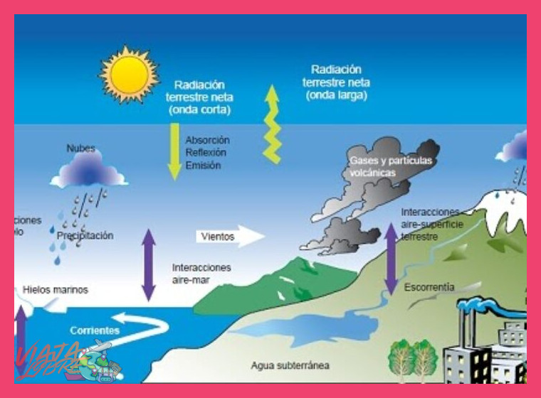 2. Hidratación y alimentación: tu combustible de adaptación