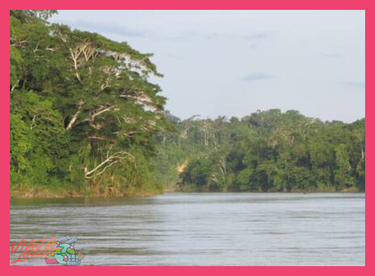 2. Parque Nacional del Manu: La Cúspide de la Biodiversidad