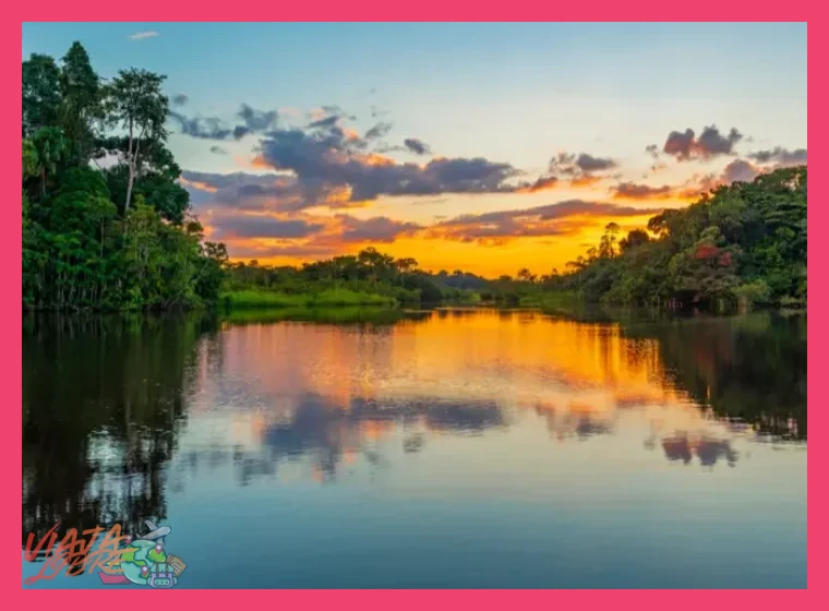 3. Día 7 a 9: Iquitos y la Inmersión Total en la Selva Amazónica