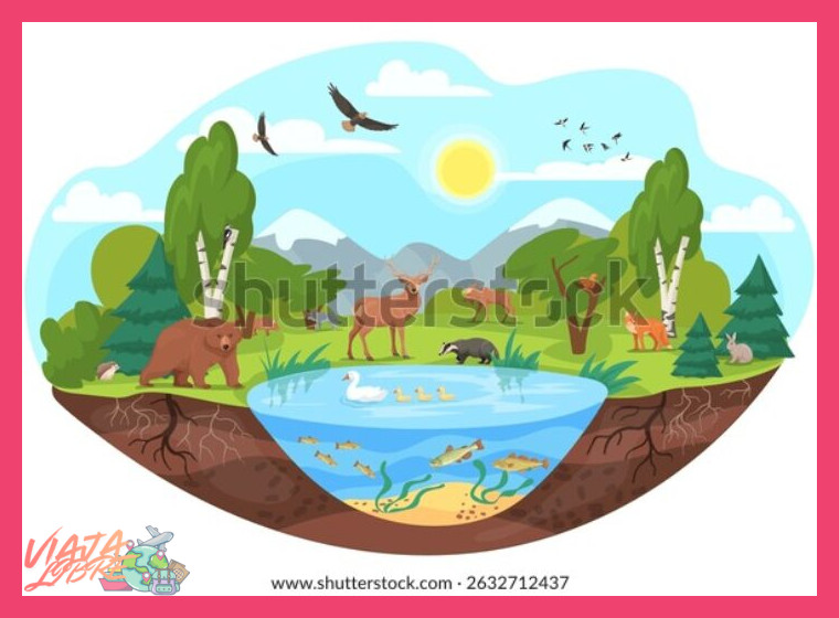 3. Ecosistemas y Zonas de Vida que se Atraviesan