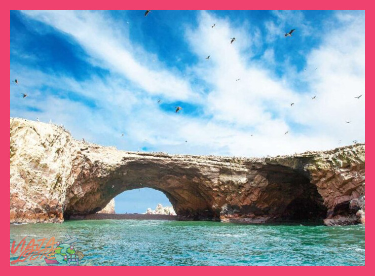 3. El Ecosistema Marino: Excursión a las Islas Ballestas