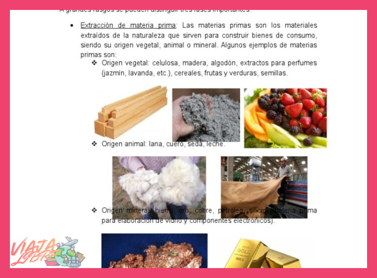 3. El Proceso Completo: De la Materia Prima a la Obra Maestra