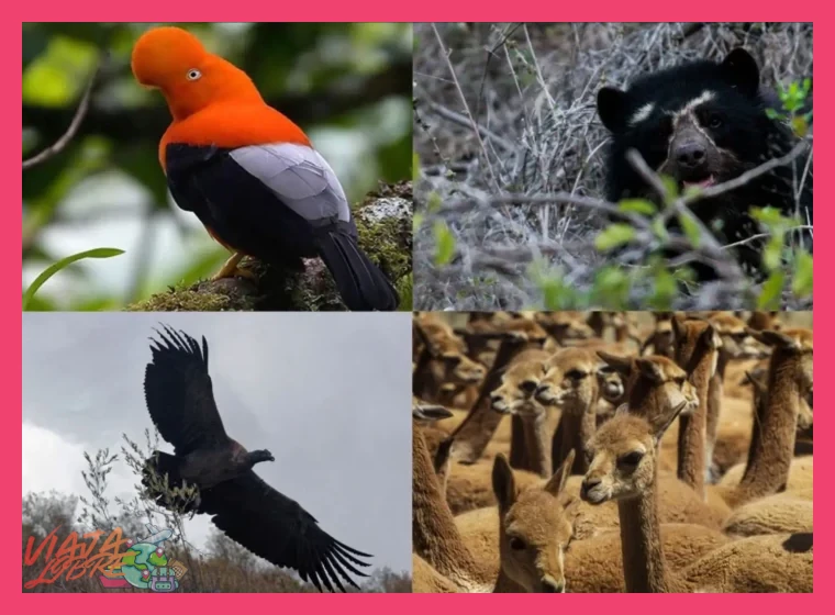 3. Especies Emblemáticas y Dónde Encontrarlas