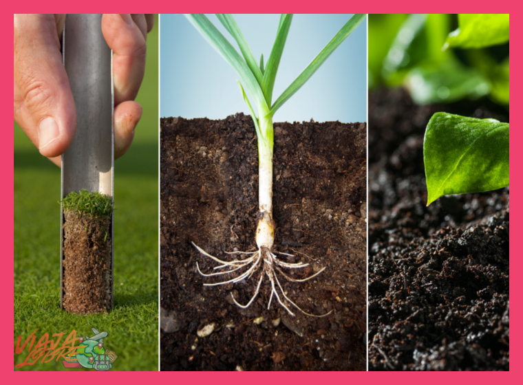 3. Fertilidad del suelo sin dependencia externa