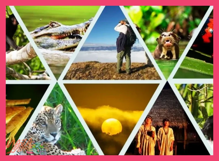 3. Inmersión en la Amazonía Peruana: Biodiversidad en Estado Puro