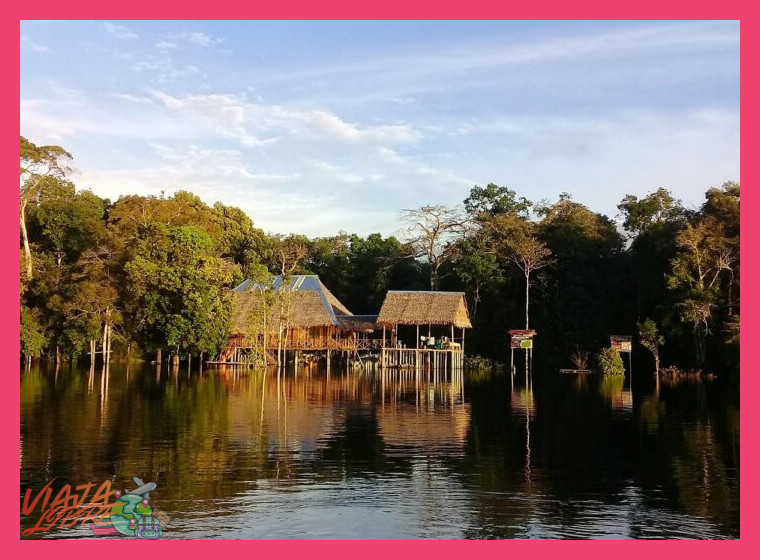 3. Iquitos y la Reserva Nacional Allpahuayo Mishana