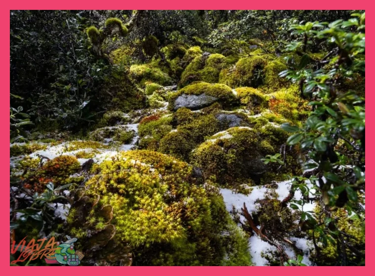 3. Minimiza tu Huella Ambiental en Entornos Frágiles