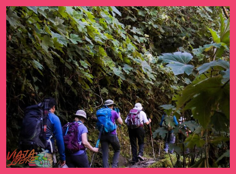3. Senderismo y Conocimiento del Frágil Ecosistema del Bosque Seco