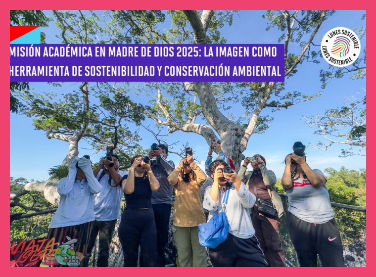 4. Consideración de la experiencia y el enfoque de conservación
