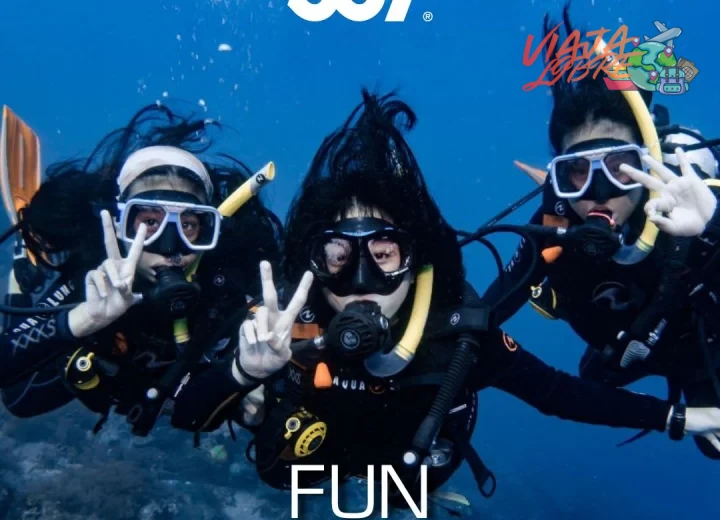 4. El Banco de Máncora: El mejor lugar para buceo tropical en el norte de Perú