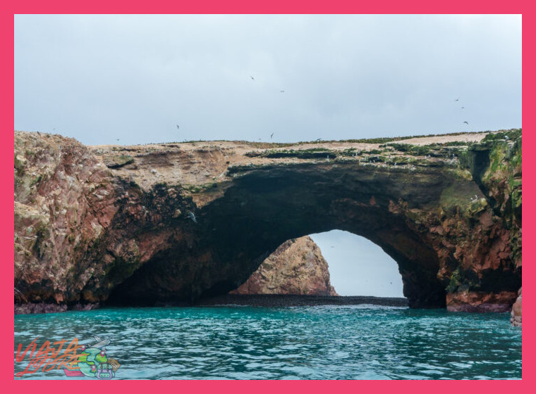 4. El Descanso en la Costa: Paracas, Islas Ballestas y Dunas de Ica