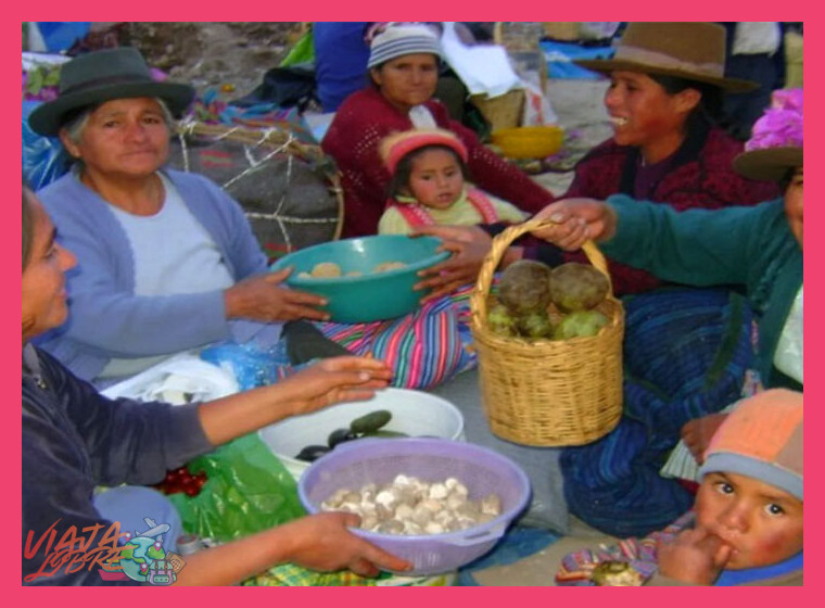 4. El trueque y la economía solidaria