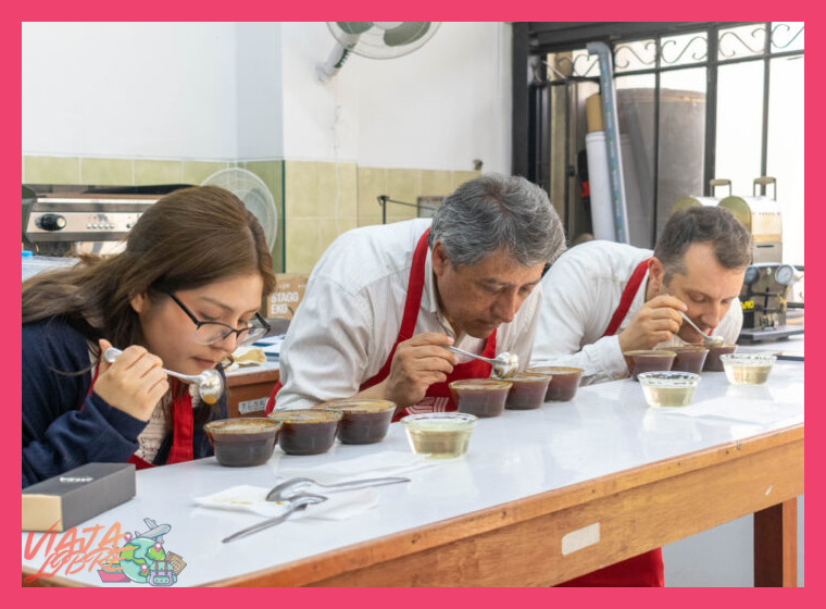 4. La Catación: Degustando el Fruto del Trabajo