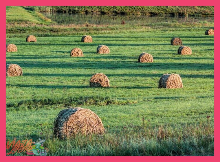 4. Manejo agroecológico de pastos y ganadería de pequeña escala