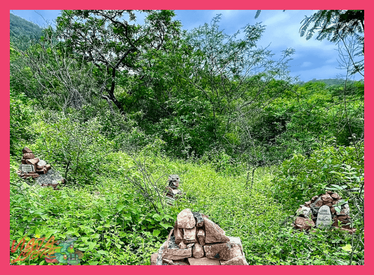 4. Participación en Proyectos de Conservación Activa