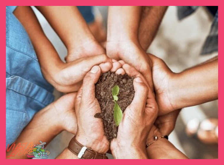5. Conservación y sostenibilidad: un compromiso compartido