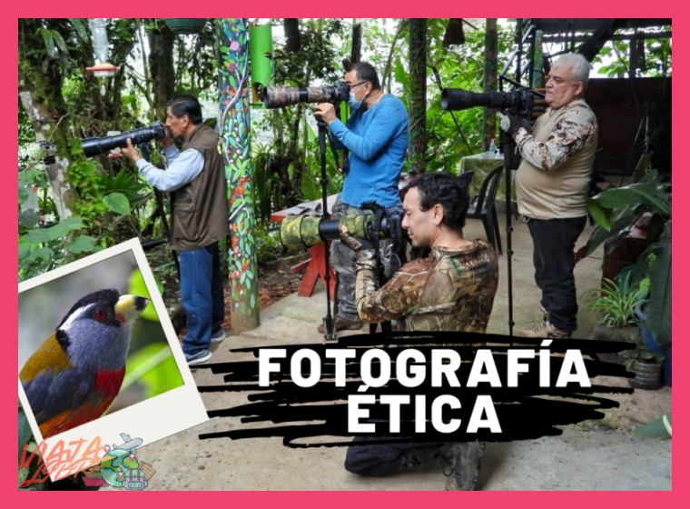 5. Equipo Recomendado y Consideraciones Éticas para el Birdwatching Responsable