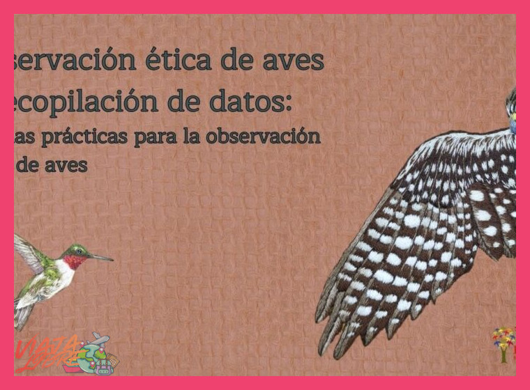 5. Ética y Conservación del Observador de Aves