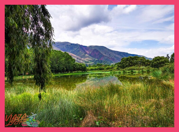 5. Impacto y Ética del Turismo en un Santuario Natural