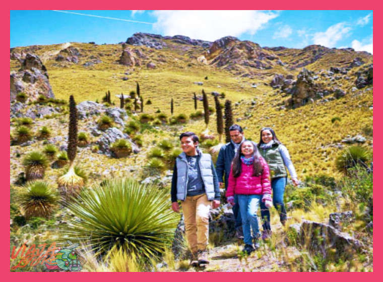 5. Paisajes Sagrados: Trekking y Conectividad con la Naturaleza