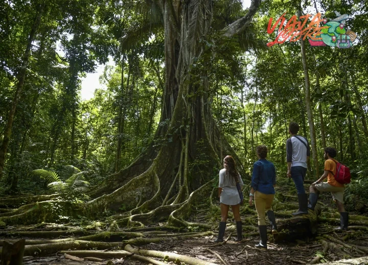 Acampada en islas fluviales aisladas con guías especializados