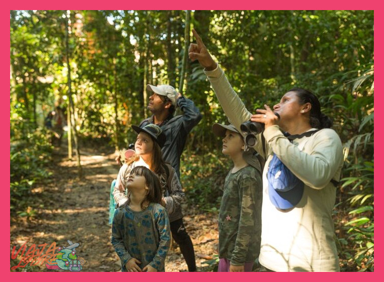 Actividades en la Selva Adaptadas para la Familia