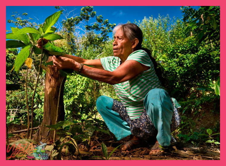 Actividades Tradicionales y Conocimiento Ancestral