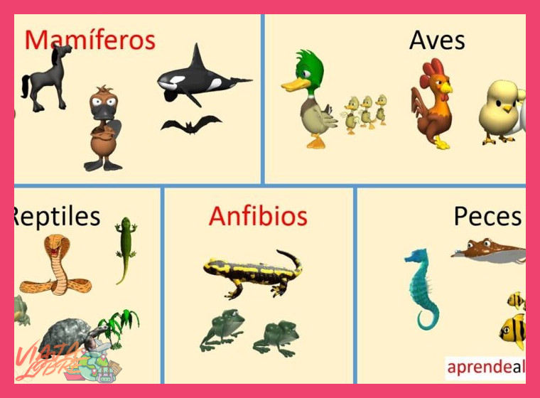 Además de la avifauna, ¿qué otros animales notables (mamíferos, reptiles, anfibios) podría encontrar un viajero en las excursiones por la selva amazónica dentro de este programa?