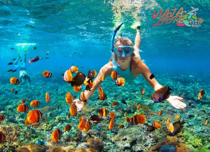 Aspectos prácticos para elegir destinos de buceo en el Caribe