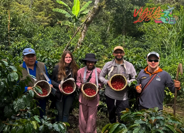 Aspectos prácticos para tu viaje cafetero en Centroamérica