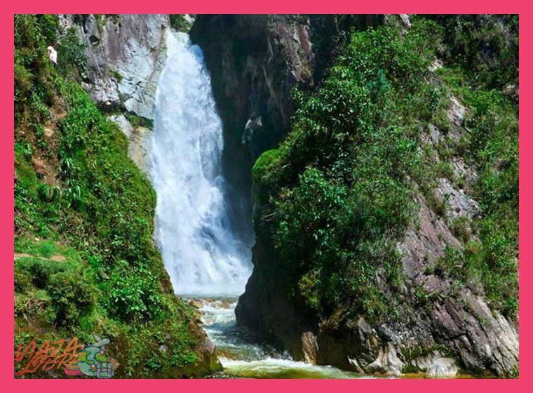 Biodiversidad y Aventura en el Corazón de la Selva