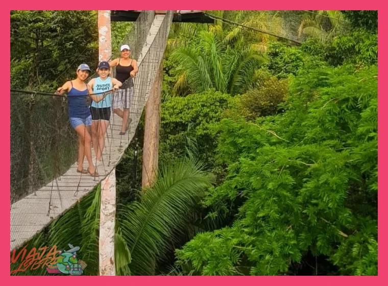 Canopy y zipline en selva central Tarapoto adrenalina pura - Canopy y zipline