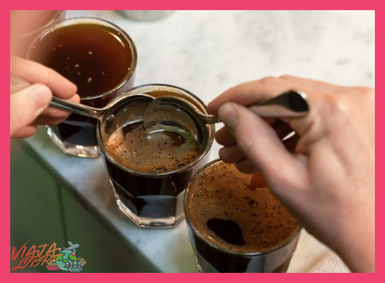Catación y preparación: apreciando la calidad del café de origen