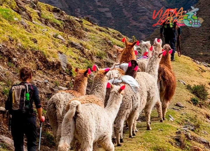Cómo planificar una expedición de trekking en solitario