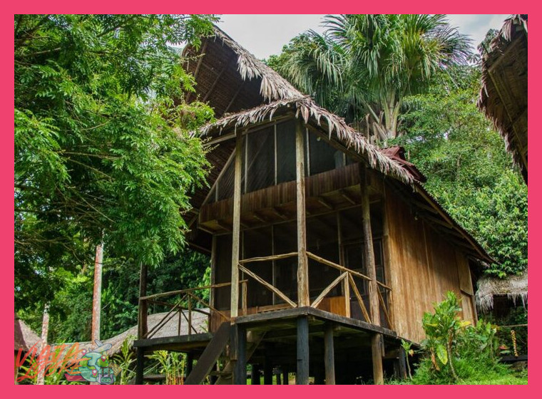 ¿Cómo puedo verificar el impacto real del lodge en la comunidad local y el entorno?
