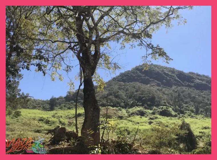 ¿Cómo se caracterizan las condiciones climáticas en la reserva seca de Chaparrí y qué recomendaciones de vestimenta se sugieren para los visitantes?