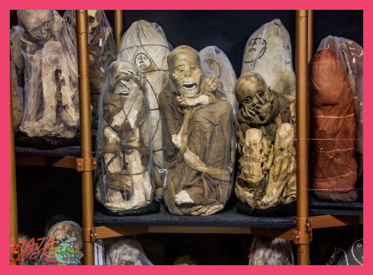¿Cómo se integra el Museo Leymebamba, que alberga las momias de la Laguna de los Cóndores, dentro de la oferta de turismo comunitario en la región amazónica de Amazonas?