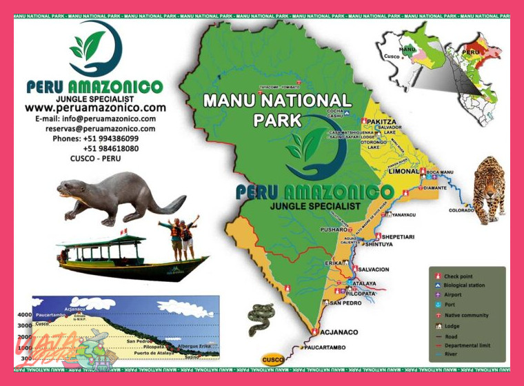 ¿Cómo se integra geográfica y ecológicamente el Parque Nacional del Manu dentro de la cuenca de la selva amazónica peruana?