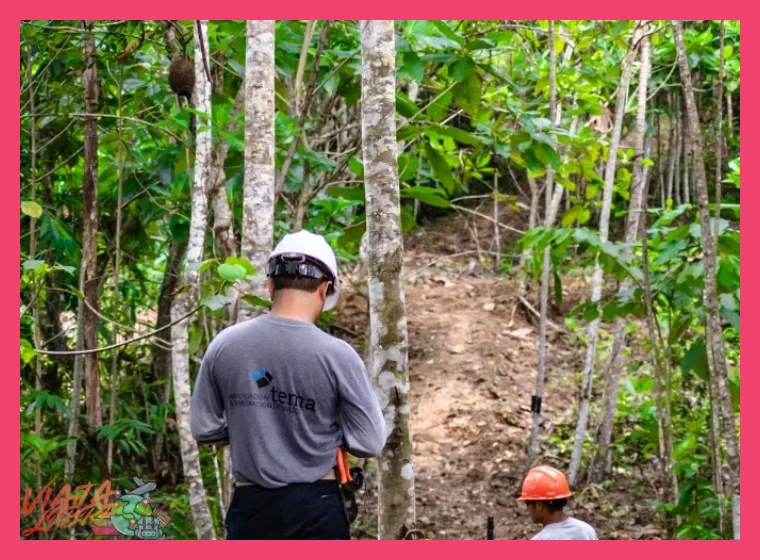 ¿Cómo se manejan los aspectos de seguridad y salud, especialmente en la selva?