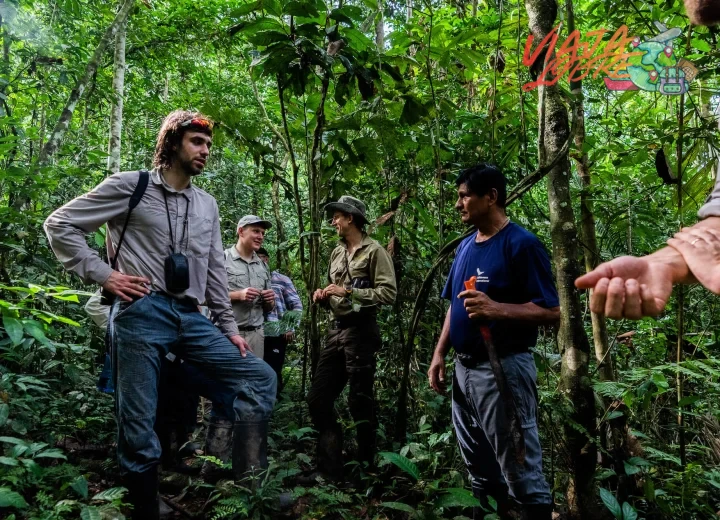 Cómo sobrevivir a un trekking en la selva amazónica