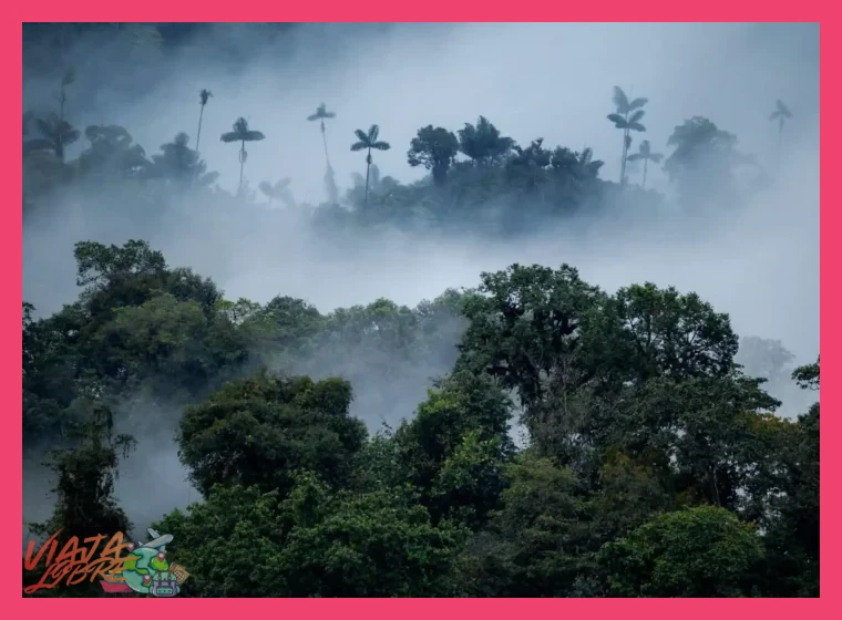 ¿Cuál es el periodo climático más favorable para la parte amazónica del viaje que incluye Iquitos y la selva?